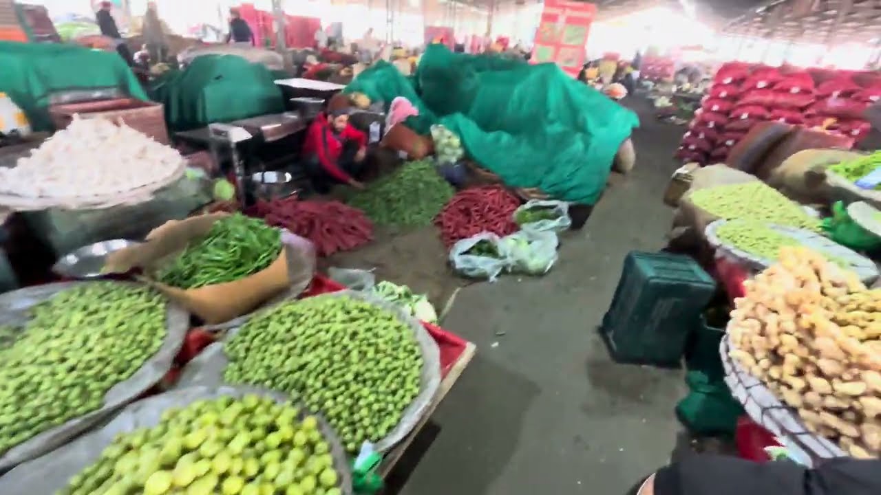 Hanji mitro ajj gye Malerkotla sabji mandi te motar te dekho tuc full vlog 🙏🏼🙏🏼
