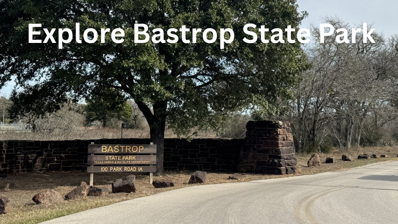Explore Bastrop State Park, Bastrop Texas