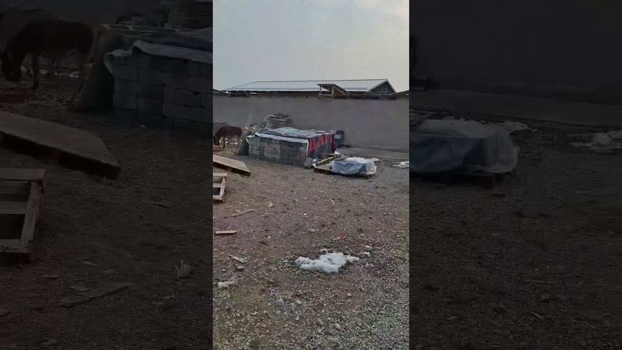 Нам очень нужен помощник 