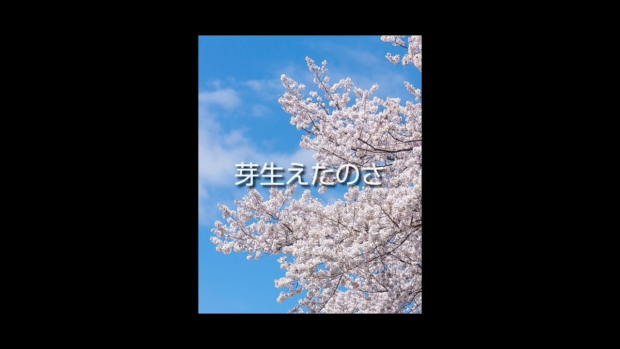 桜色の別れ (オリジナル曲)