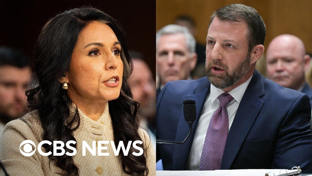 Gabbard and Mullin testify before Senate, Fed holds interest rates steady, more | The Takeout