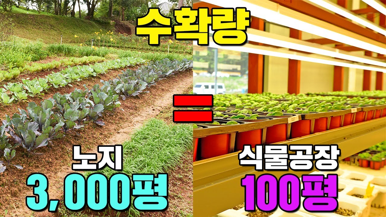 말도 안 되는 수확량을 보여주는 농업의 미래 ㅣ 식물공장 ㅣ 태양열, 신 재생에너지