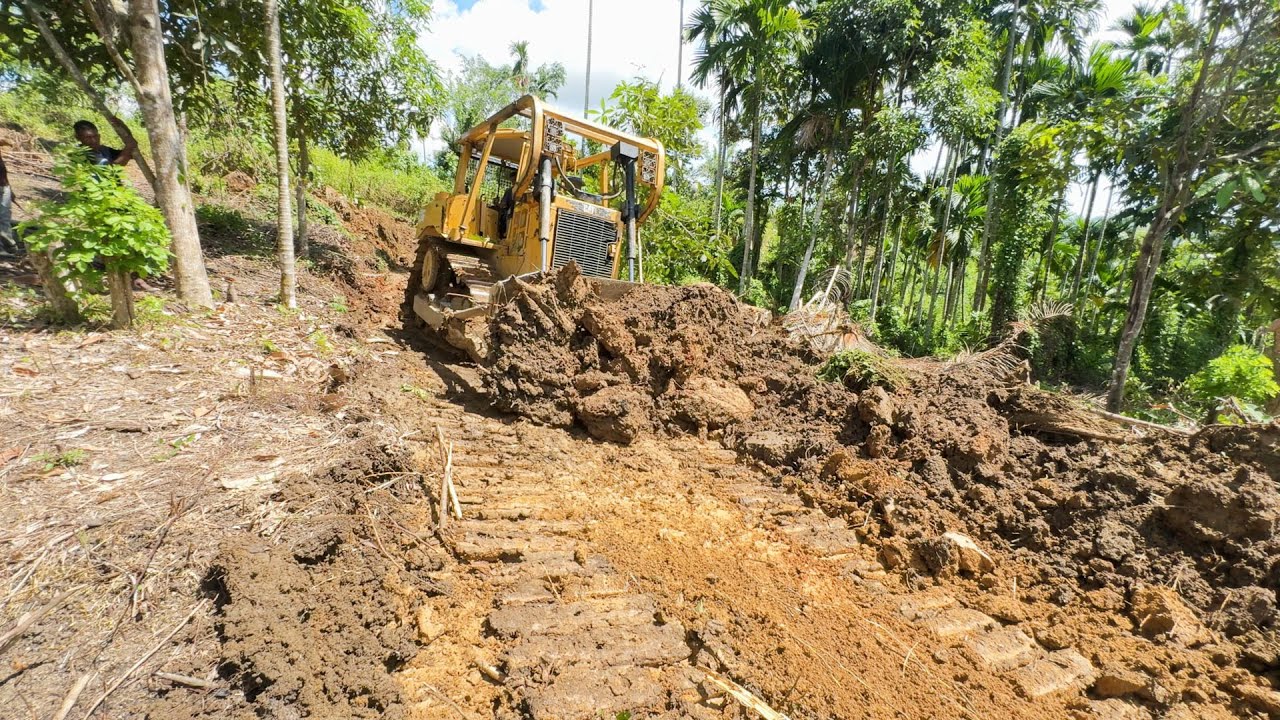 D6R XL Bulldozer Leveling Land For Plantation Road Construction