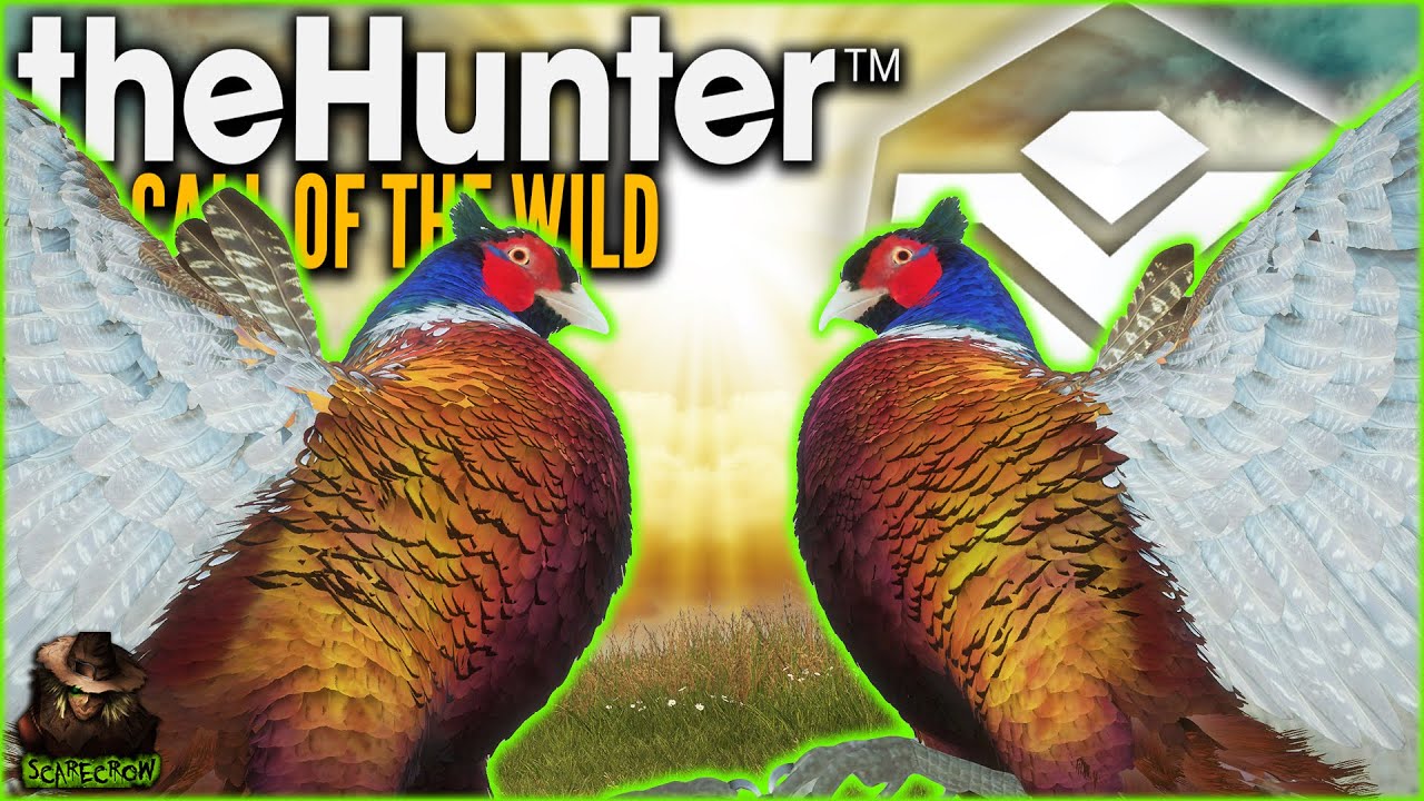 **Guide** Hunting Double Diamonds On The Pheasant Great One Grind! Call of the wild Early Access