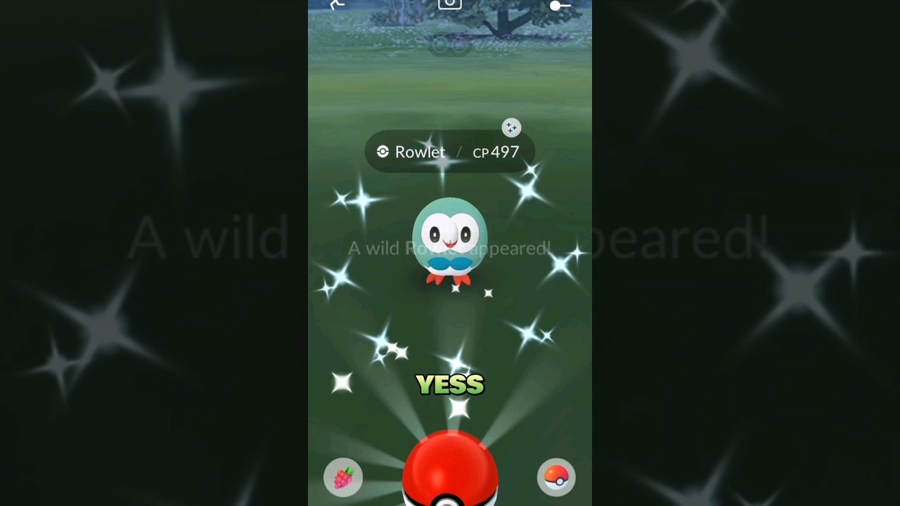 Shiny Rowlet in #pokemongo #shinypokemon