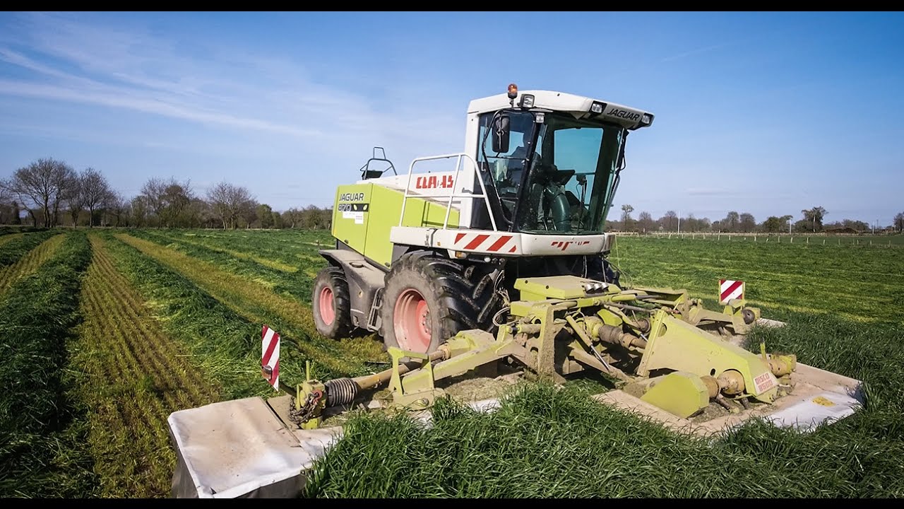 CLAAS Jaguar à faucher de l'herbe !