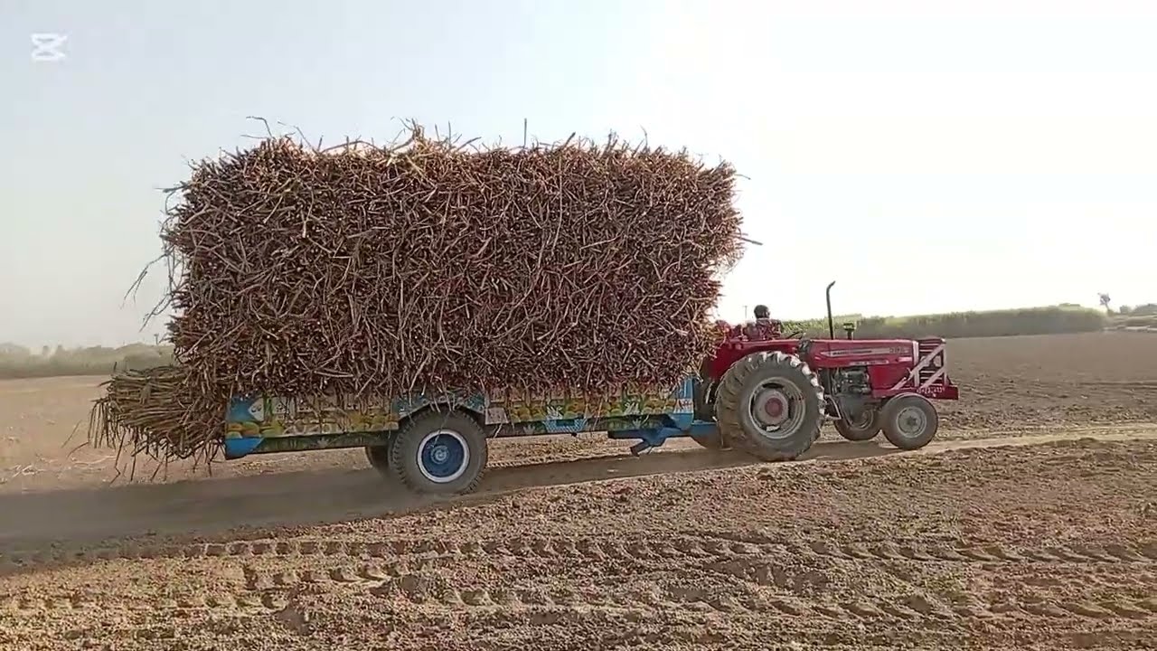 Flat 385 New model tractor very powerful pulling on 400 Mahan Guna loaded trolley 😱😱😱🚜😱😱😱😱😱⚡⚡✅💫