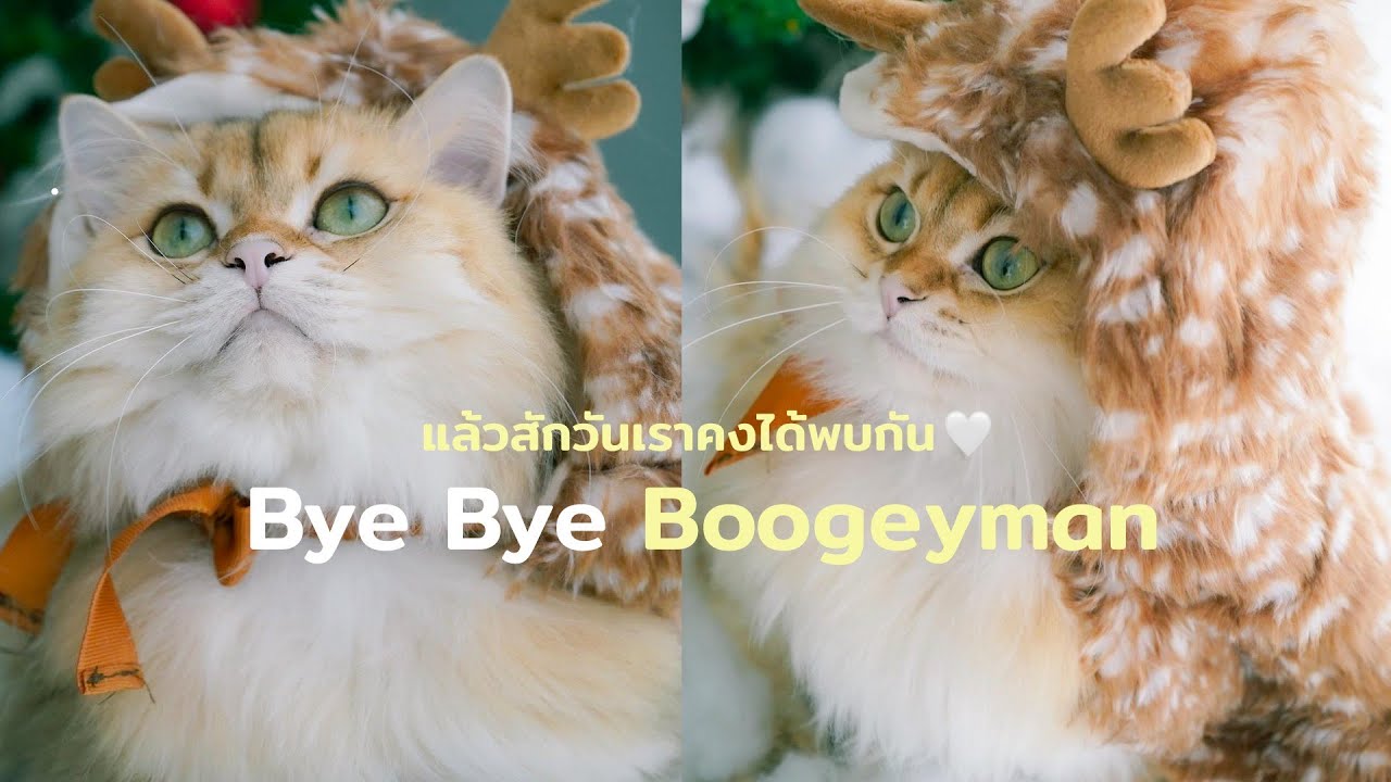 Bye Bye Boogeyman