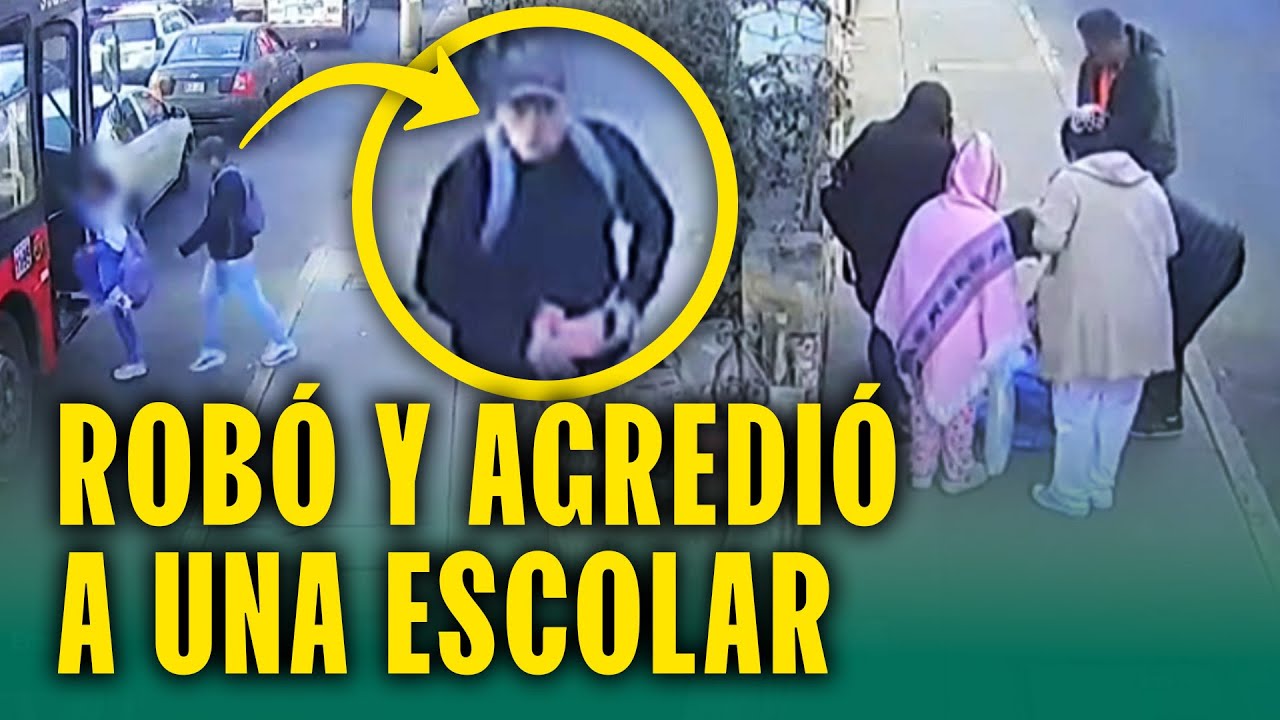 Menor terminó desmayada: Ladrón le arrancha su celular mientras subía al bus para ir a colegio