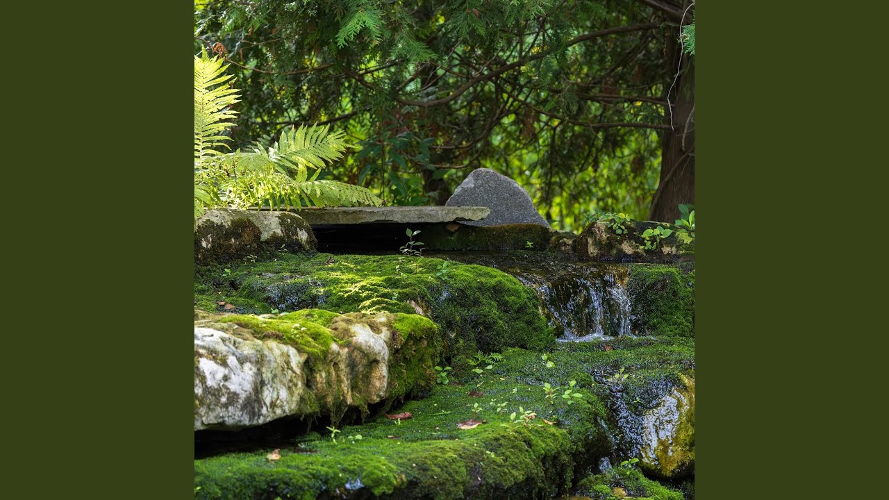Fountain of Youth