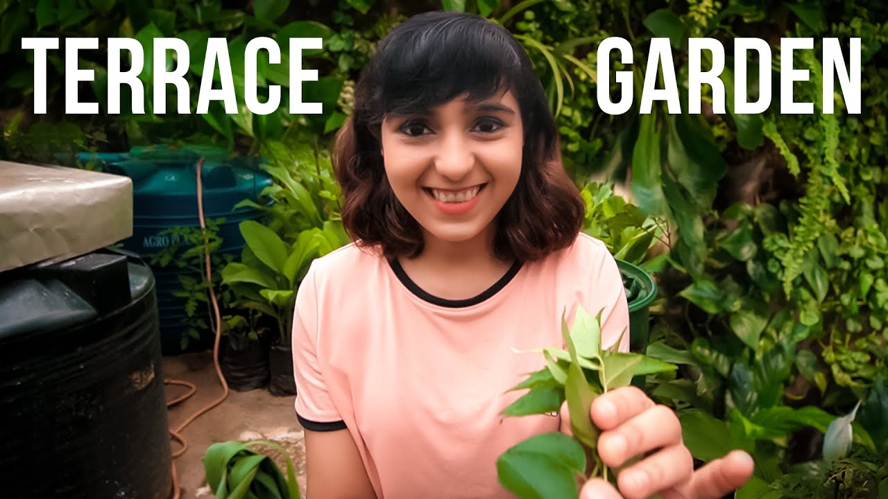 गच्चीवरची बाग - Garbage to Garden | Marathi Vlog