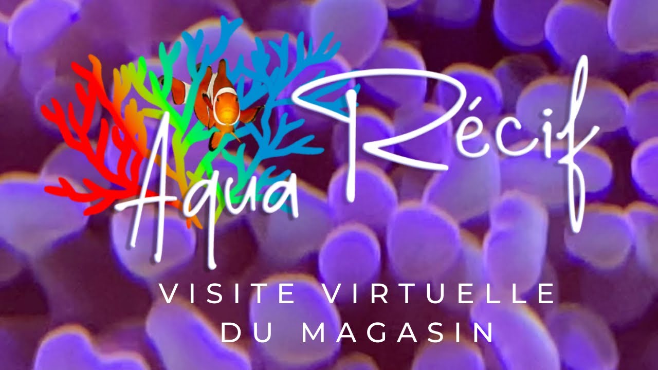 Aqua Recif
