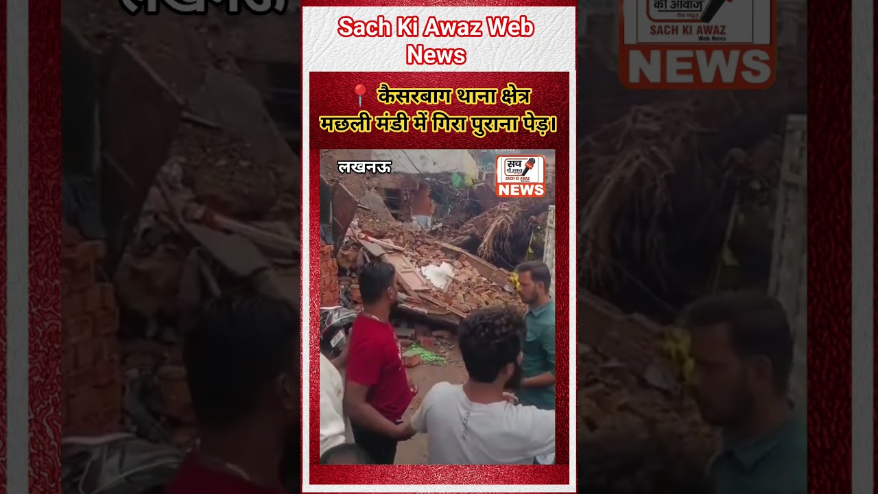 कैसरबाग थाना क्षेत्र में हादसा, मछली मंडी में पेड़ गिरने से मचा हड़कंप