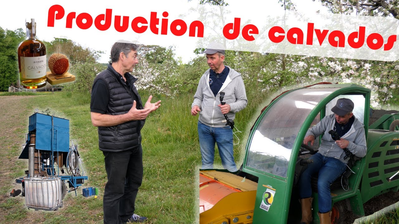 A la rencontre d'un producteur de Calvados : du verger à la dégustation ! #CoFarmingTour
