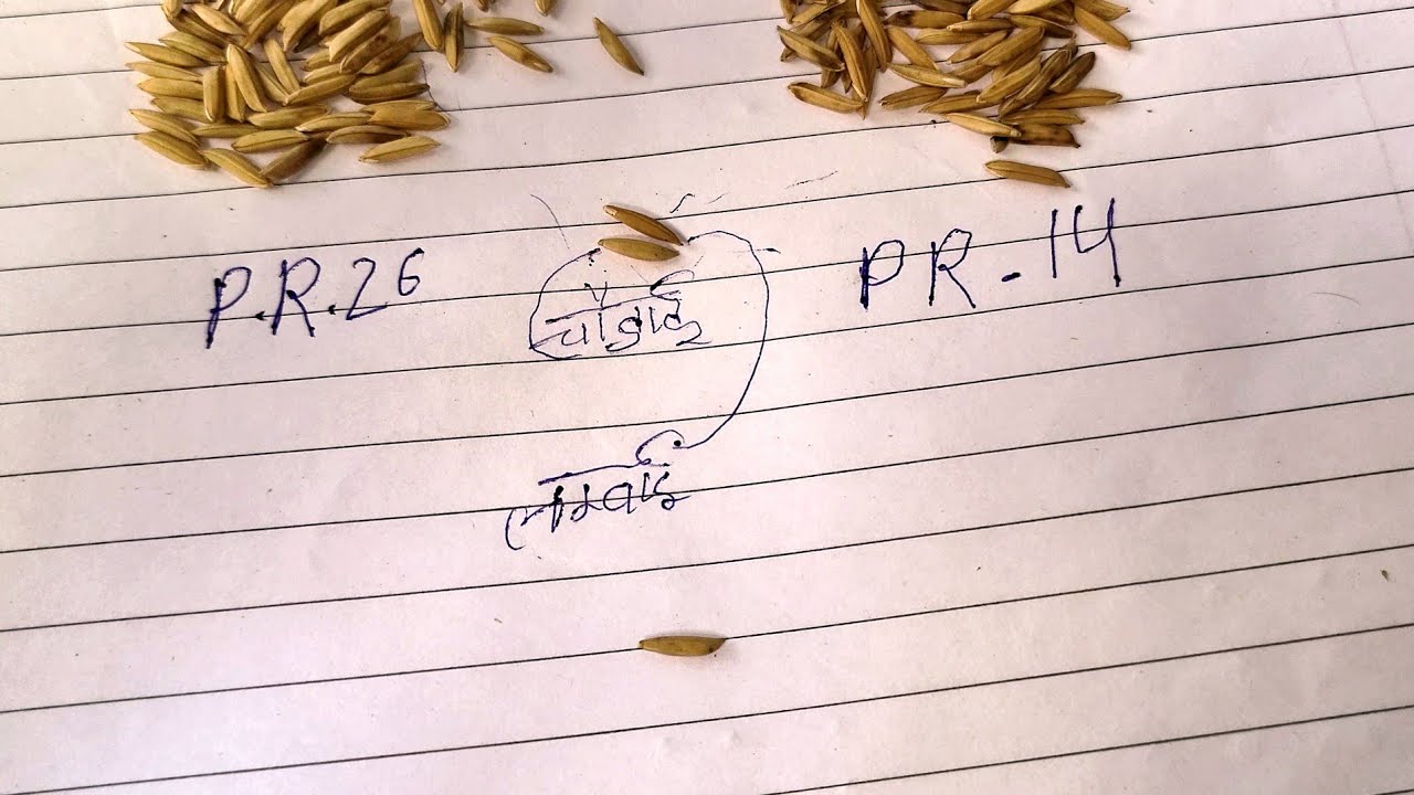 Reddy pr 14 aur pr 26 mein kya Antar hai 26 August 2023