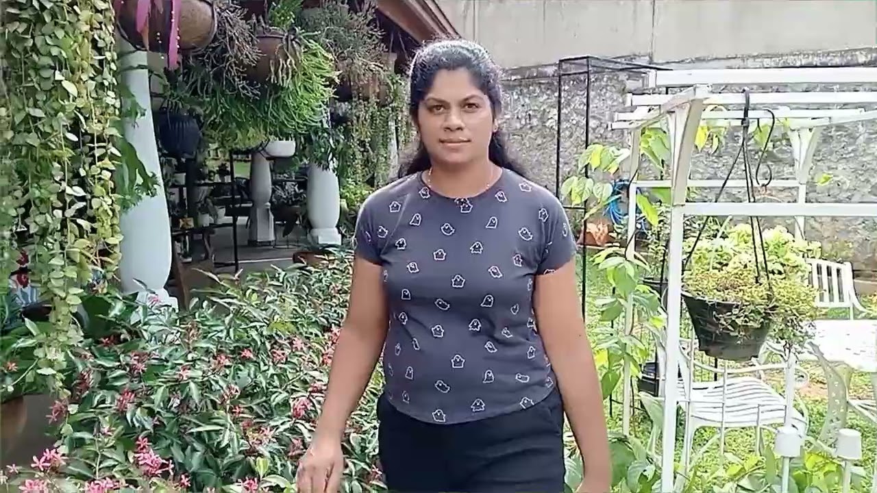 My garden full video