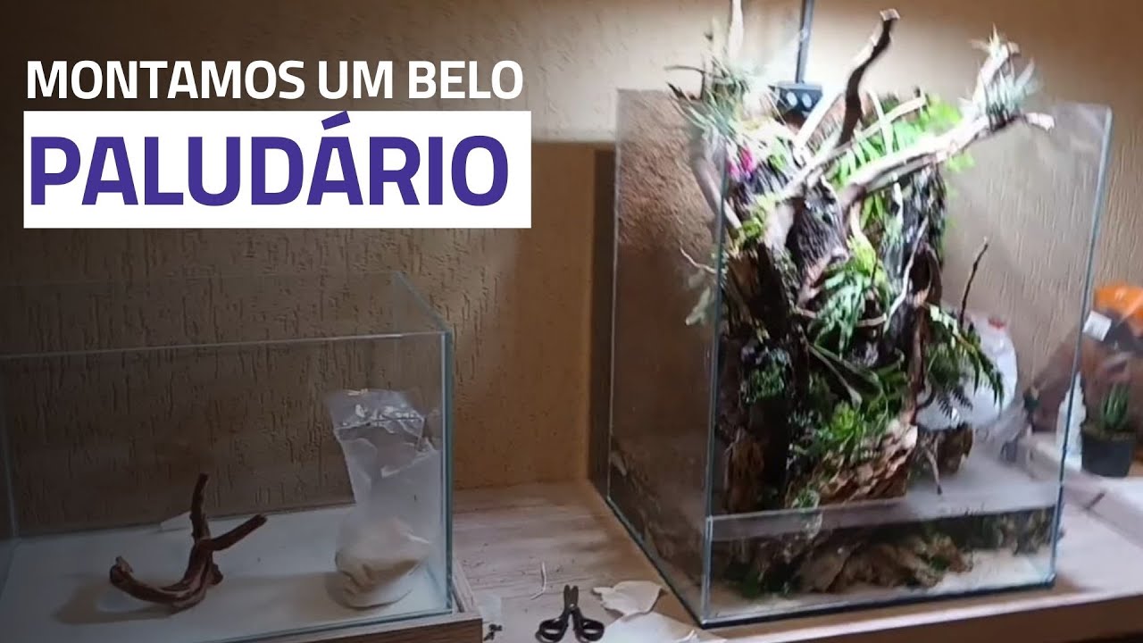 MONTAMOS UM PALUDÁRIO