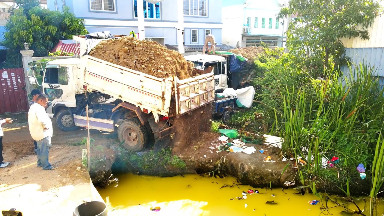 Complete the work of filling the flooded area with soil and planting long aquatic weeds.
