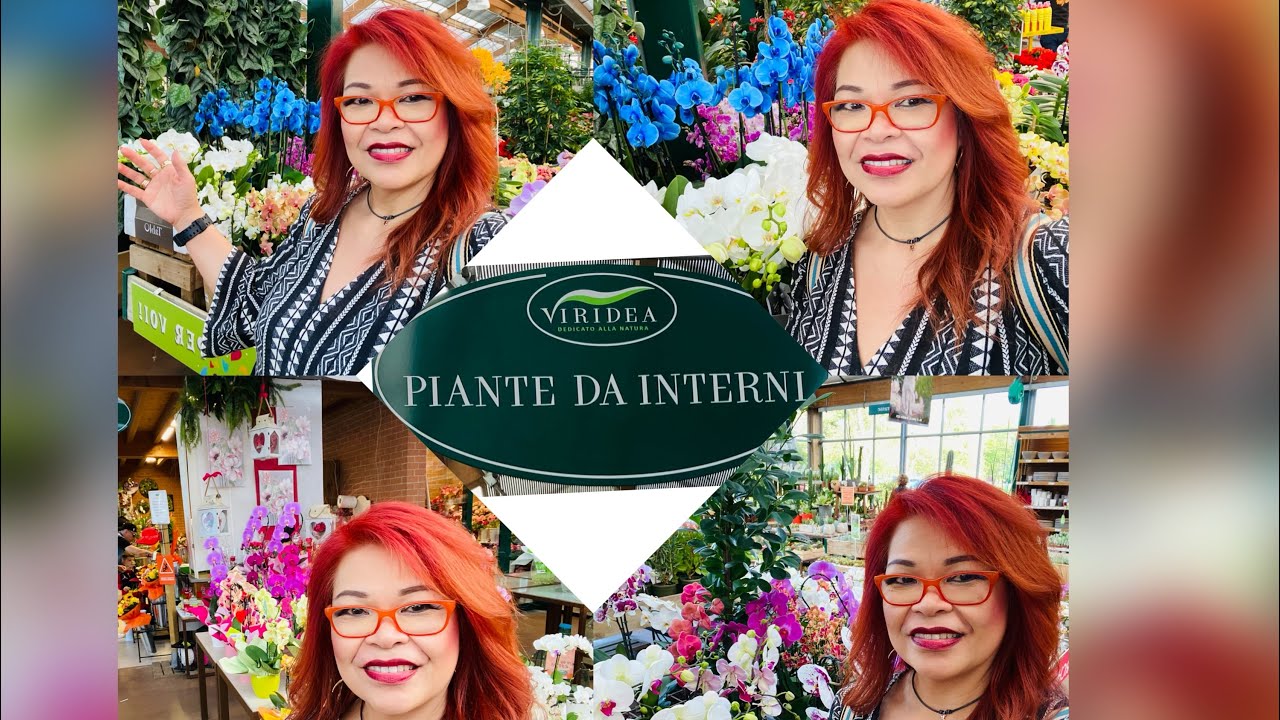 ⁠@filipinaforever2031 VIRIDEA #youtube #indoor_outdoorplants #orchids #viredea #turin #italy