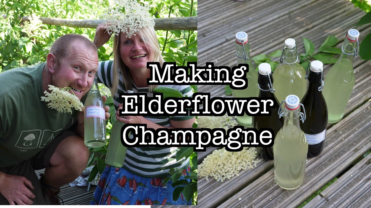 How to Make Elderflower Champagne