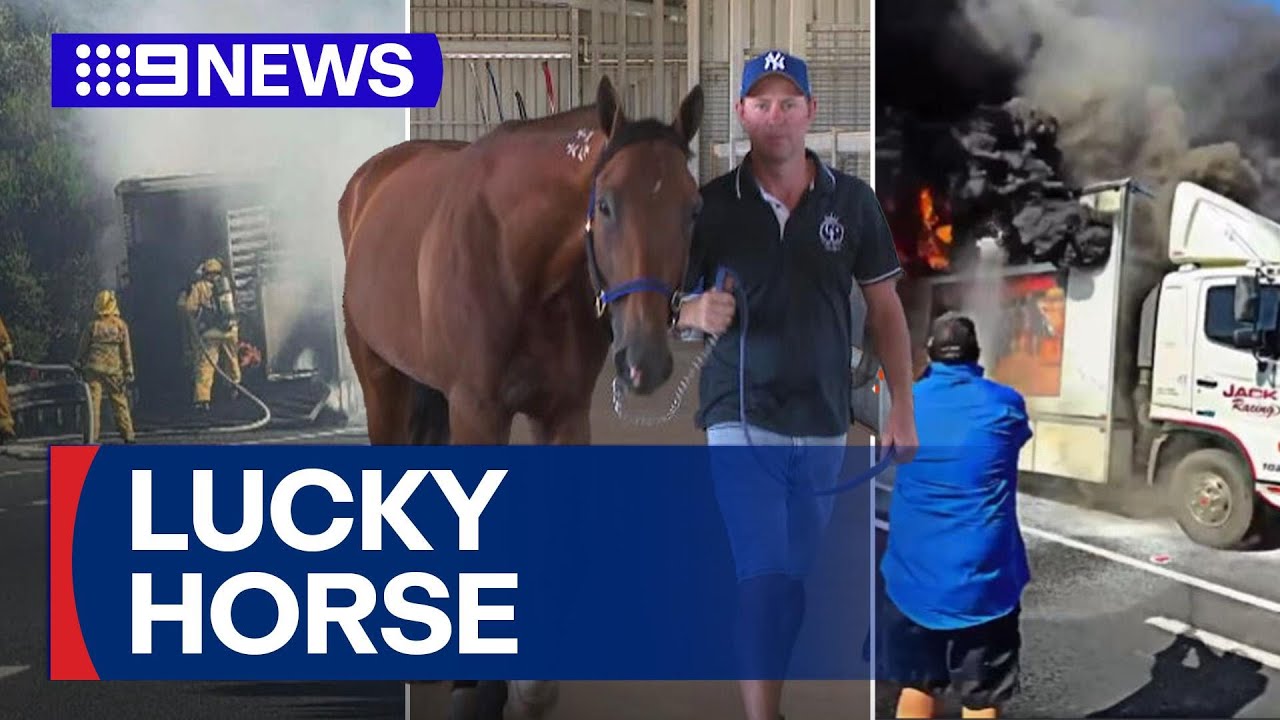 Champion horse saved from fire emergency | 9 News Australia