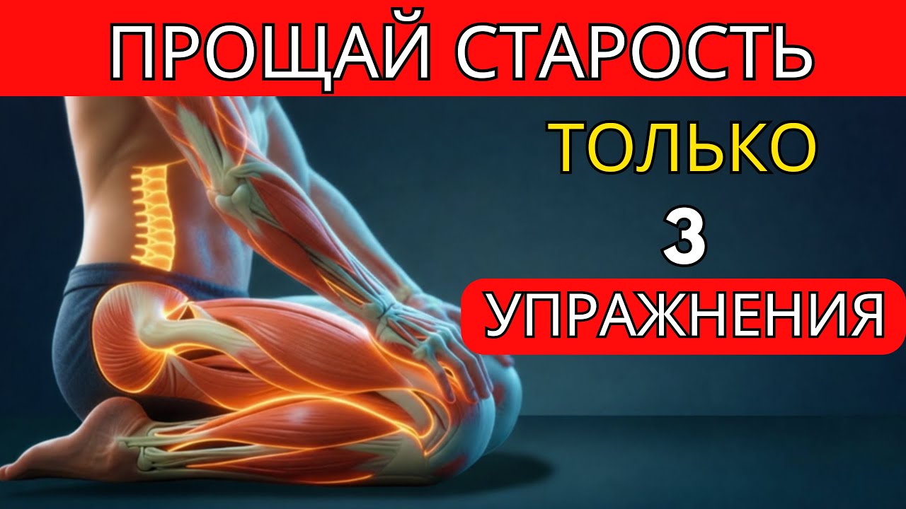 Вам больше 65? Не ограничивайтесь только ходьбой — эти 3 упражнения работают лучше