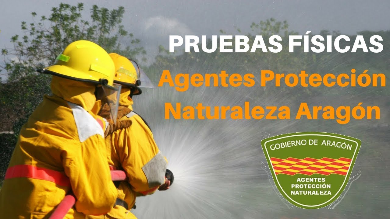 Pruebas Físicas Forestales de Aragón 2020 | MasterD