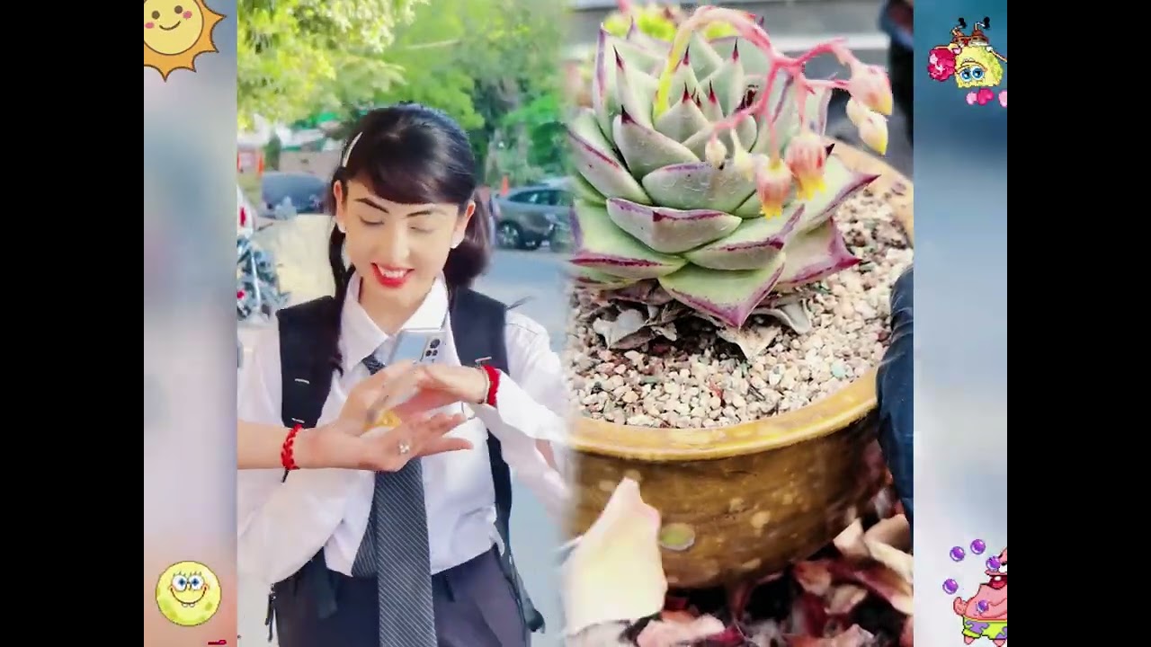 2026 pov Must-Watch Crazy Clips Compilation #humor #fypシ #pov #fyp #foryou 😍😜