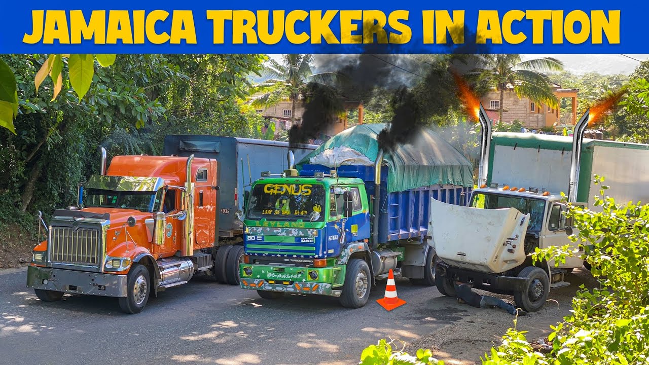 Jamaican Truckers | In Action | S02E19 | Bigrigs | Loud Jake Brake | Official