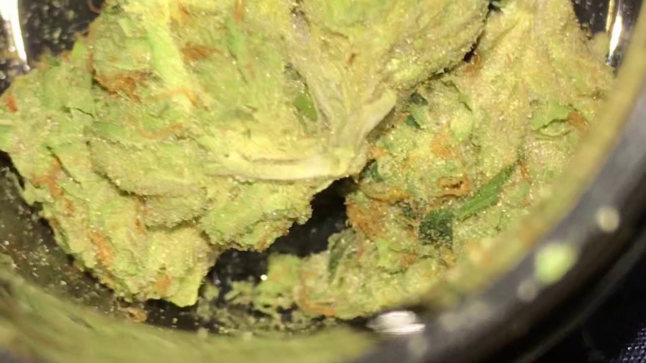 Headband -Strain- Money $HoT!