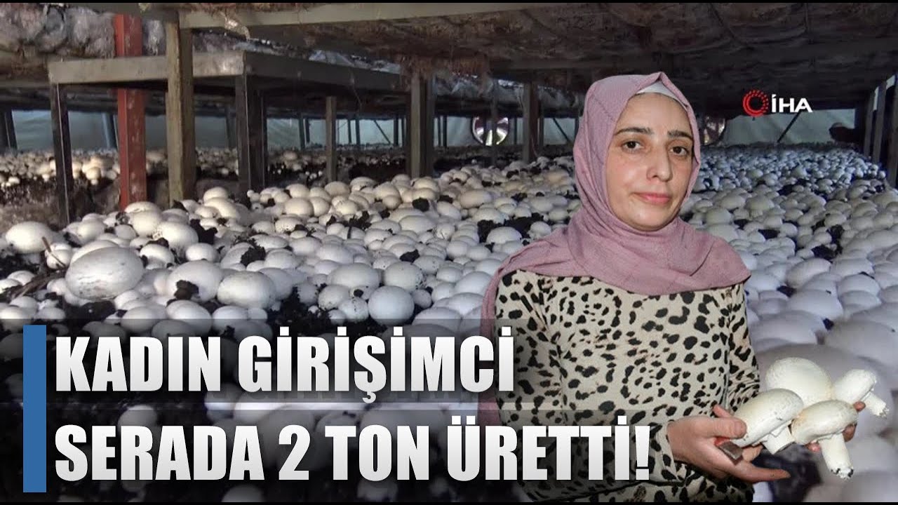 Kadın Girişimci Ev Serasında 2 Ton Üretti! Eşine Destek İçin Başladı / AGRO TV HABER