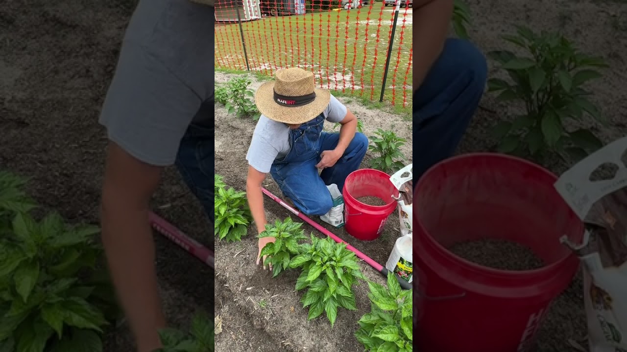 Bad news for gardeners! #gardentok #fyp #farmtok #plantsoftiktok #gardening 