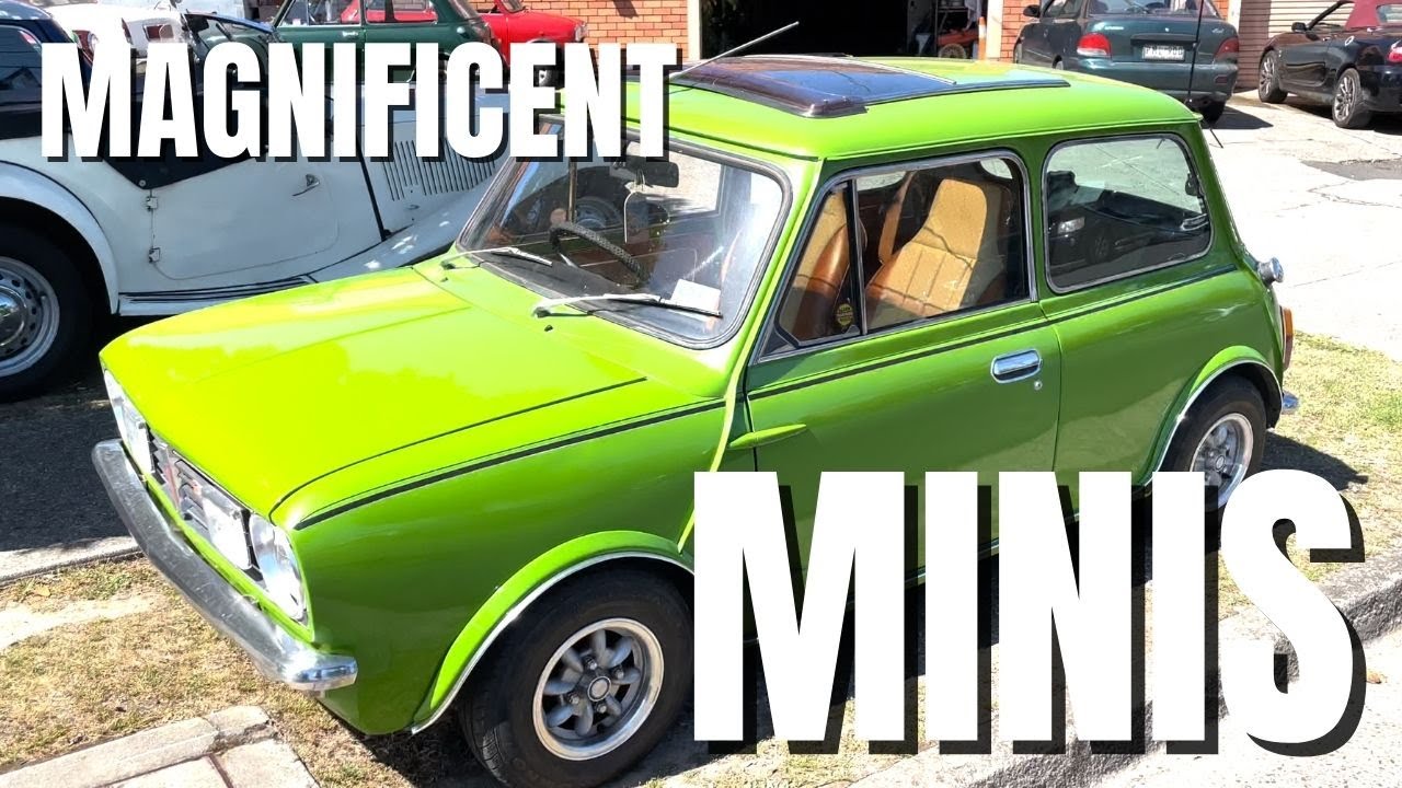Are AUSSIE MINIS more interesting?