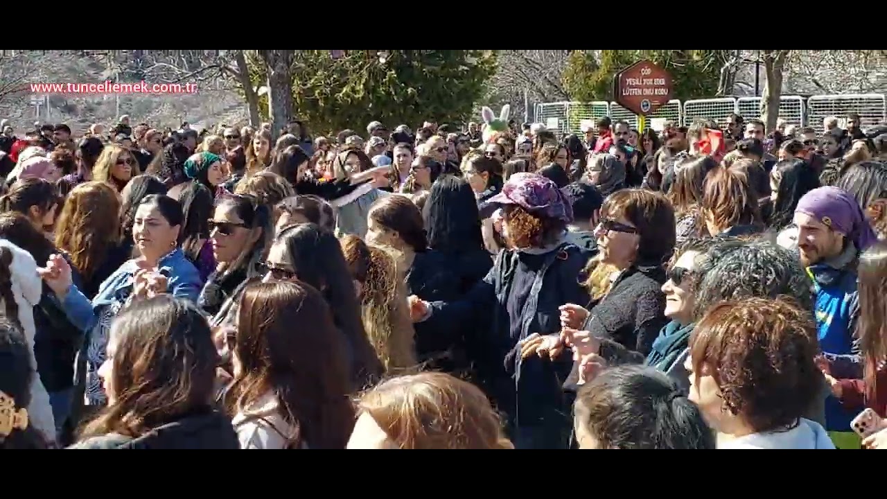 Tunceli’de 8 Mart'ta Binlerce Kadın Meydanlarda Halaylarla Coştu!