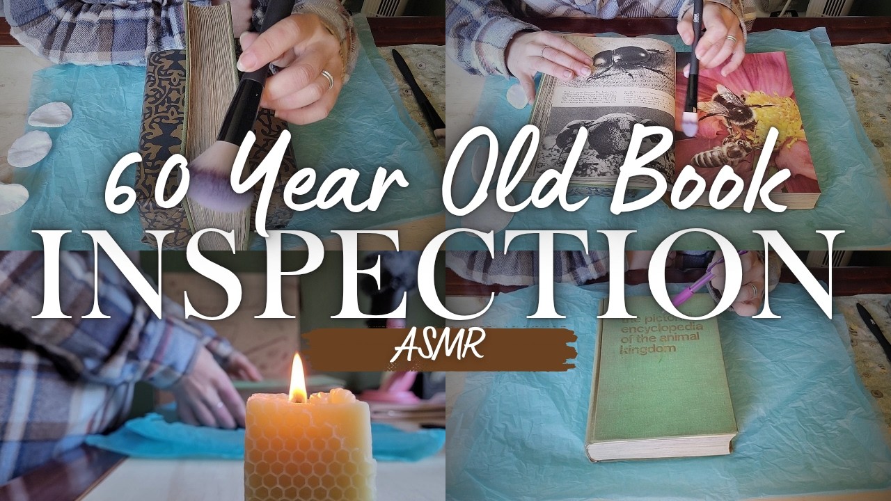 ASMR Book Inspection and Cleaning | Close Whispers, Crinkles, Mouth Sounds