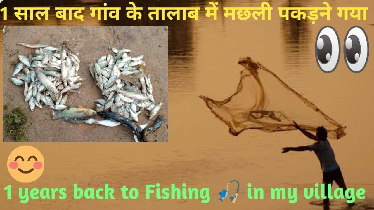 आज हमने फिर से अपने गांव के तालाब में मछली पड़ा|village fishing vlog 🎣🐠🐠🎣|net fishing vlog#fishing🎣🙏