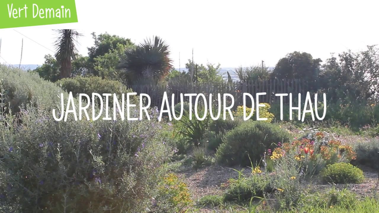 Astuces pour r&eacute;ussir son jardin sec