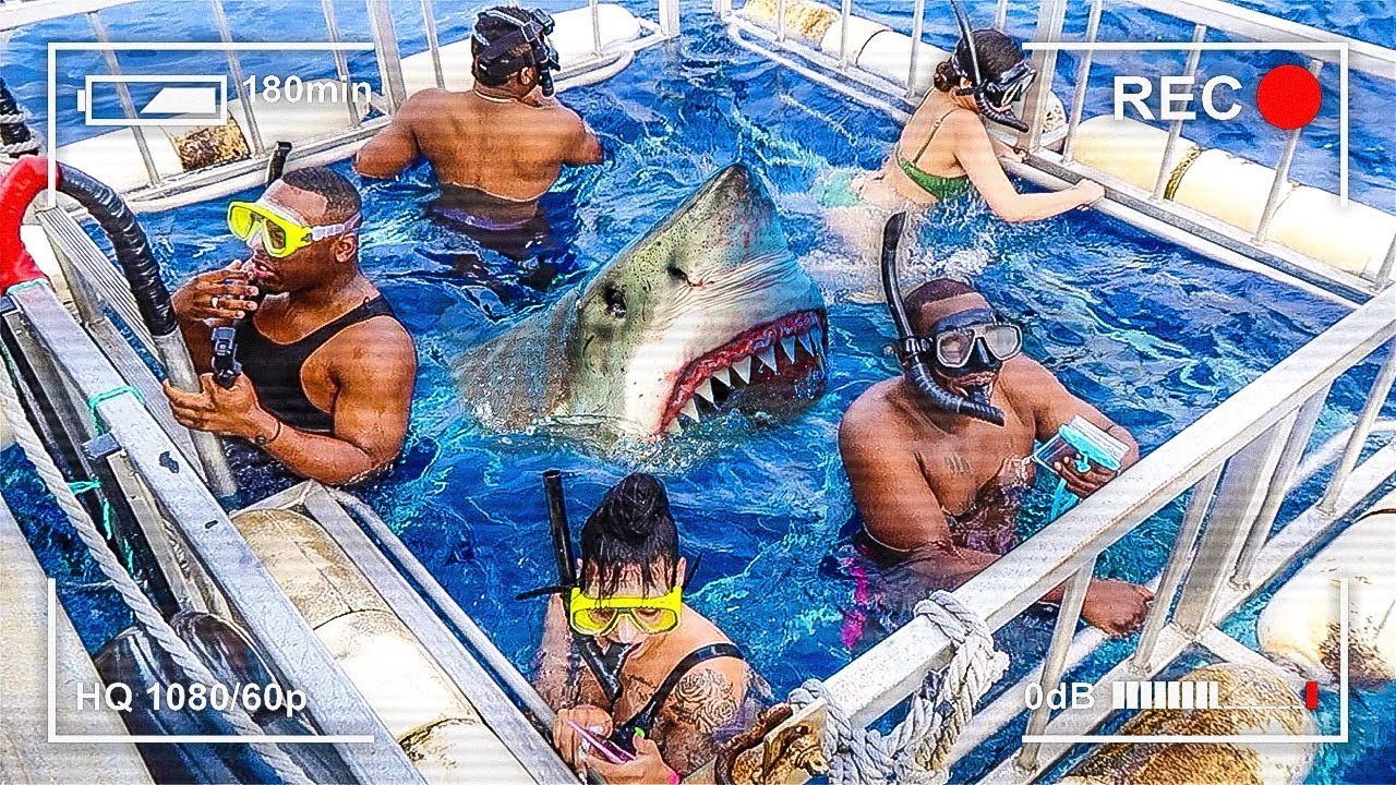 Последний, кто покинет клетку Shark Cage, выиграет 10 000 долларов