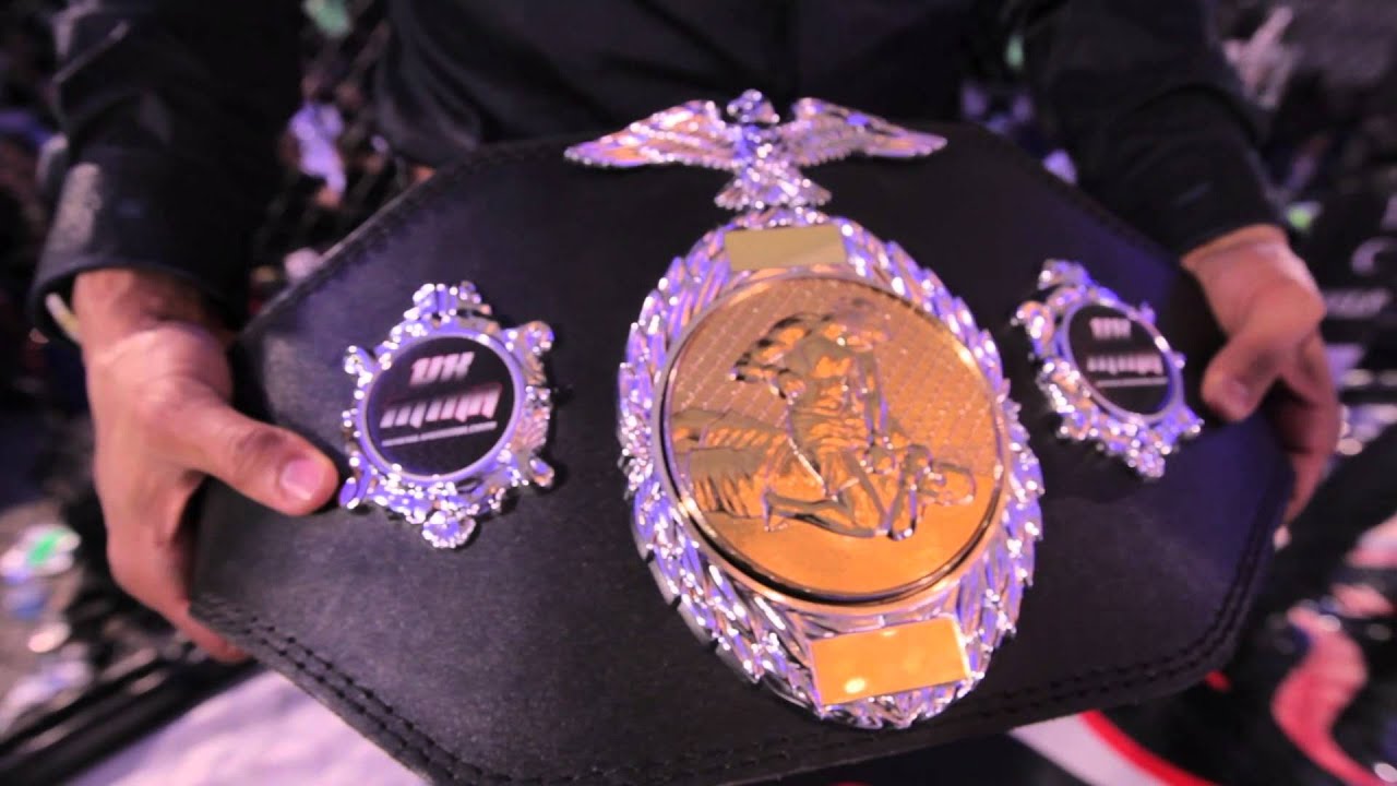 UKMMA 2 Night of The Gladiators Cage Fighting London