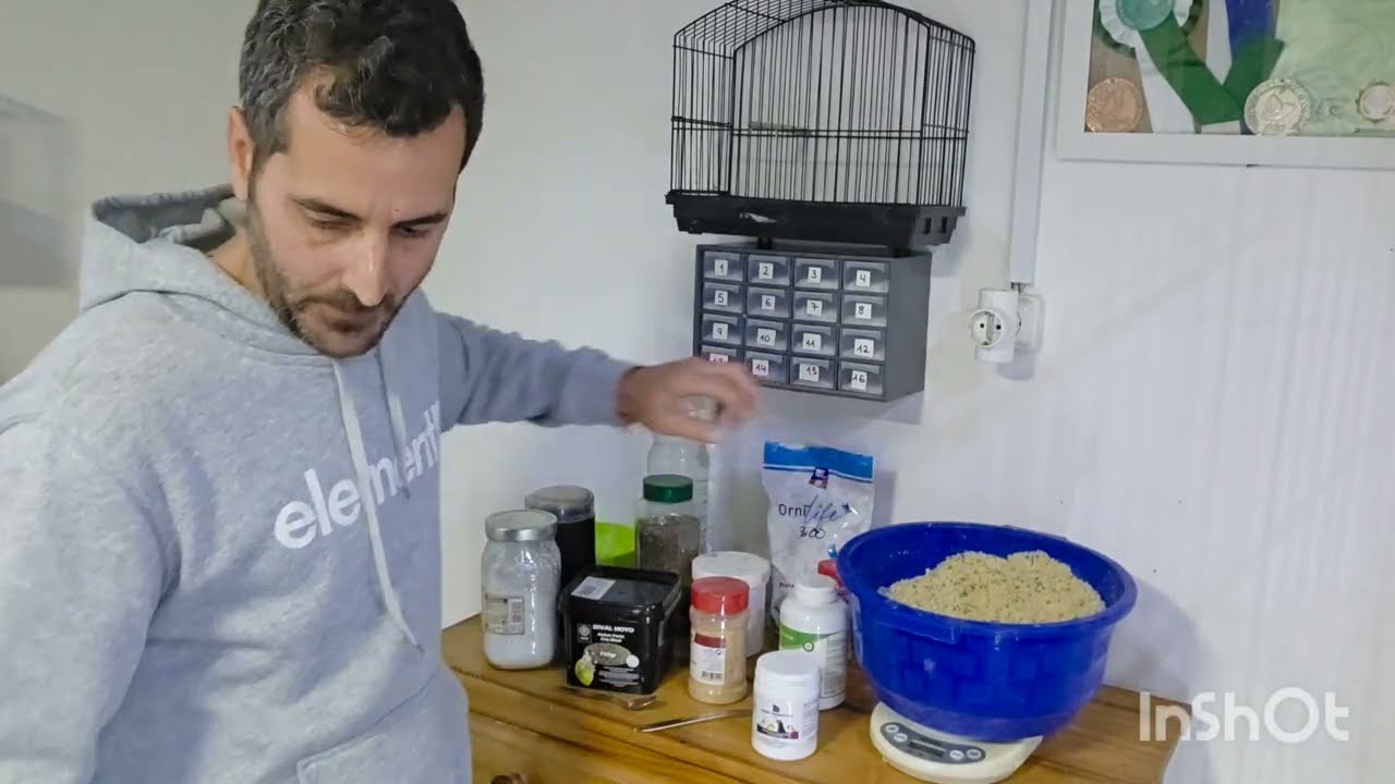 Como preparo la PASTA DE CRIA para mis canarios en epoca de cria