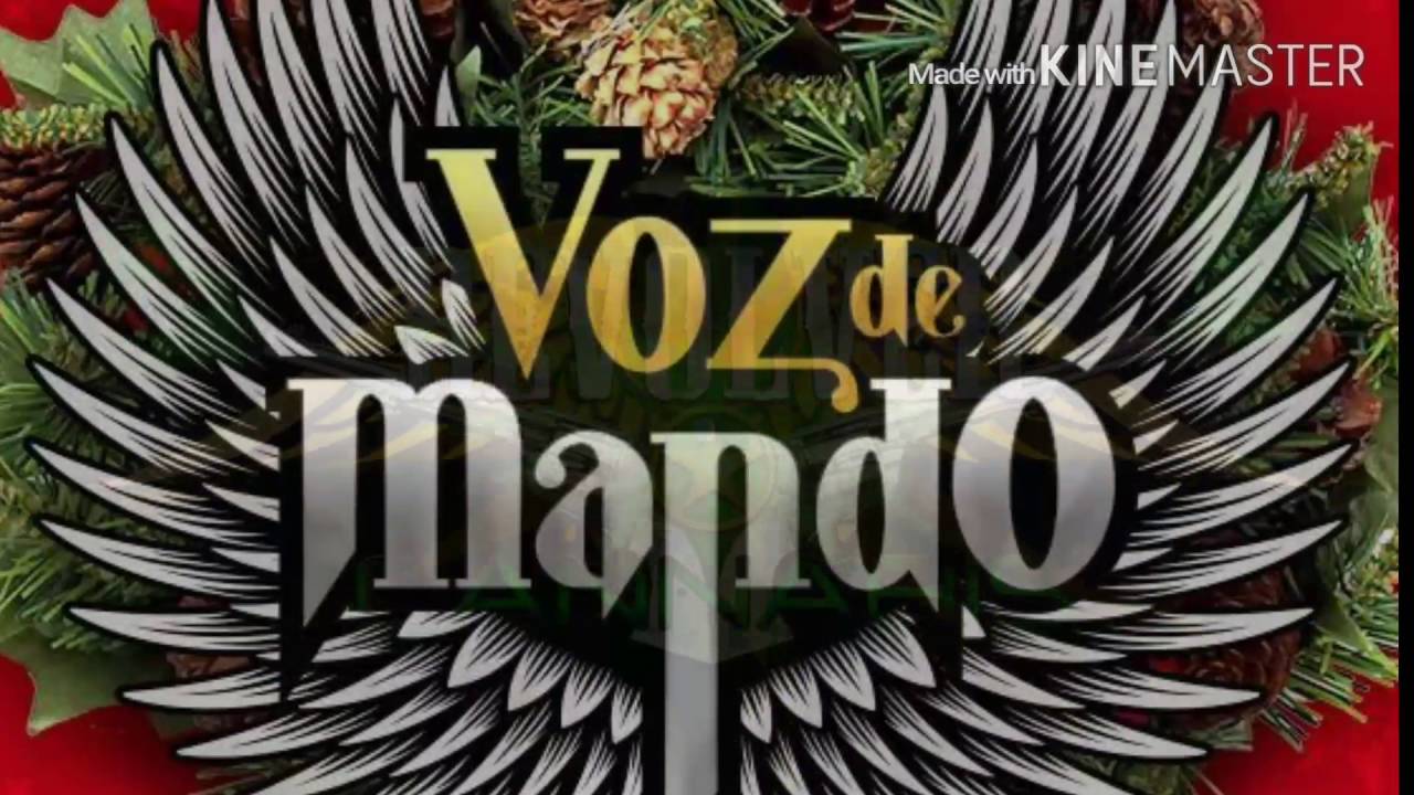 👉REVOLVER CANNABIS👈  &  👉VOZ DE MANDO👈