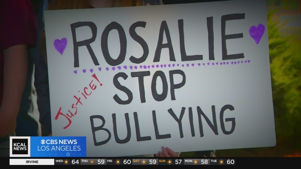 Kids in Crisis: Remembering Rosie