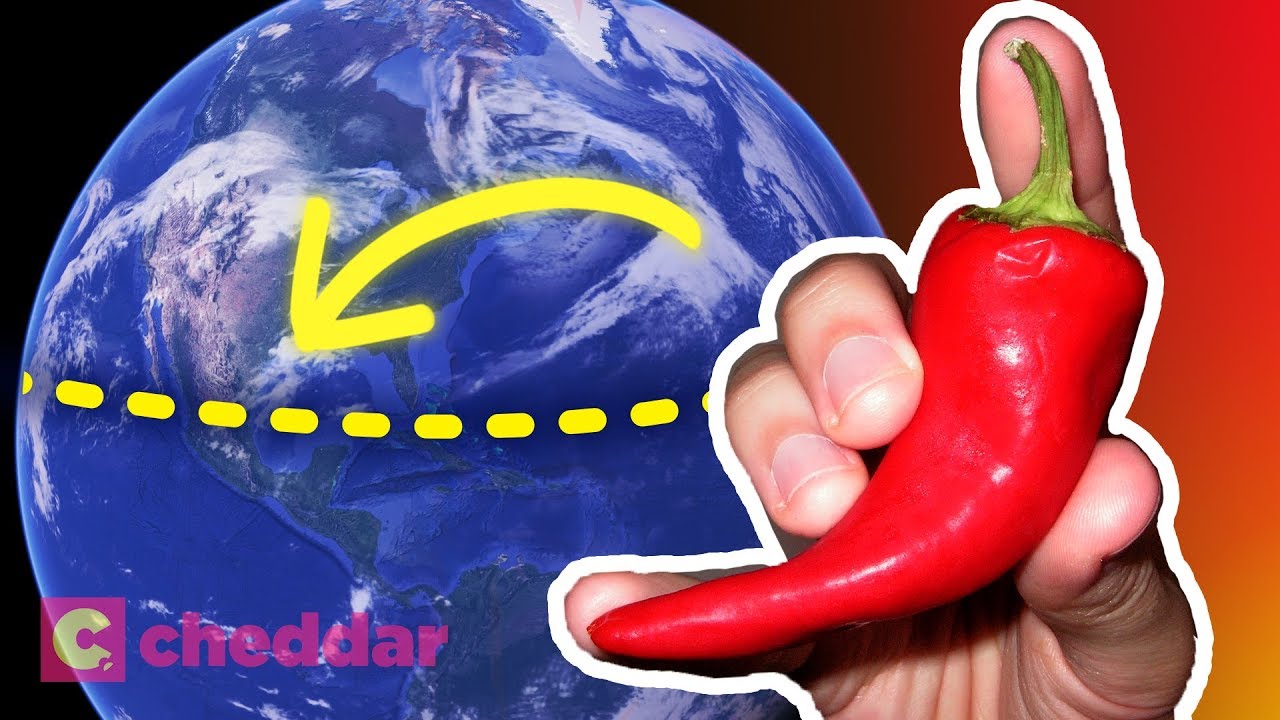 The Real Reason Equatorial Cultures Eat Spicy Food - Cheddar Explores
