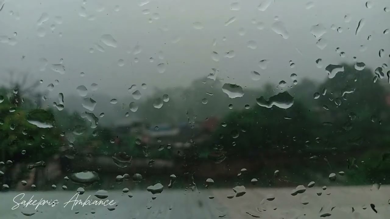Afternoon Rain Sounds 🌧️ | Relaxing ASMR for Stress Relief & Calm Mind