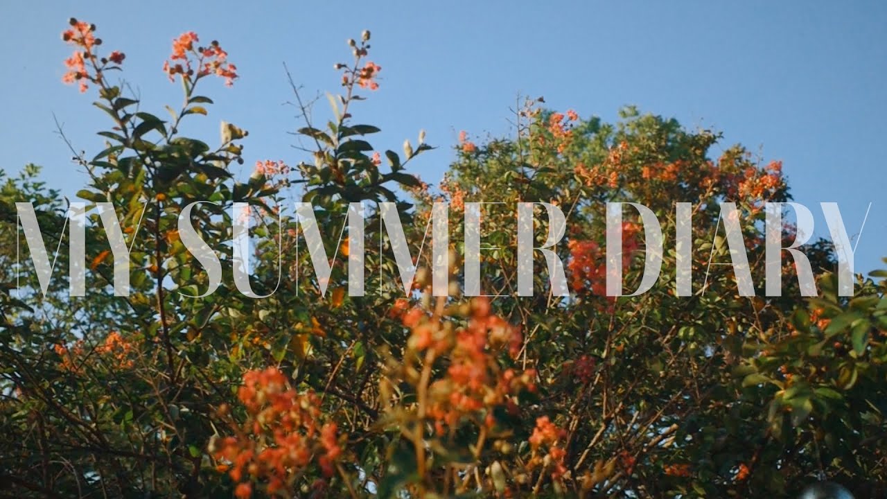 GRIII Video 'My Summer Diary'