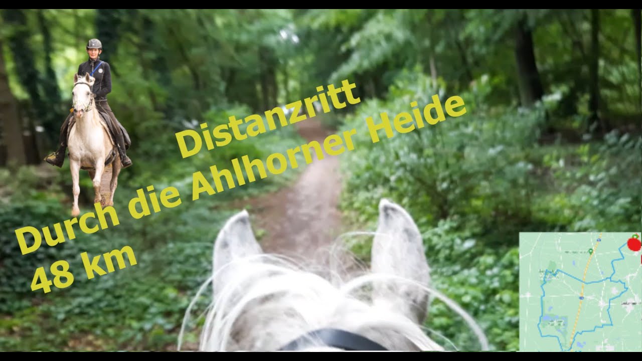 Distanzritt Durch die Ahlhorner Heide 2022