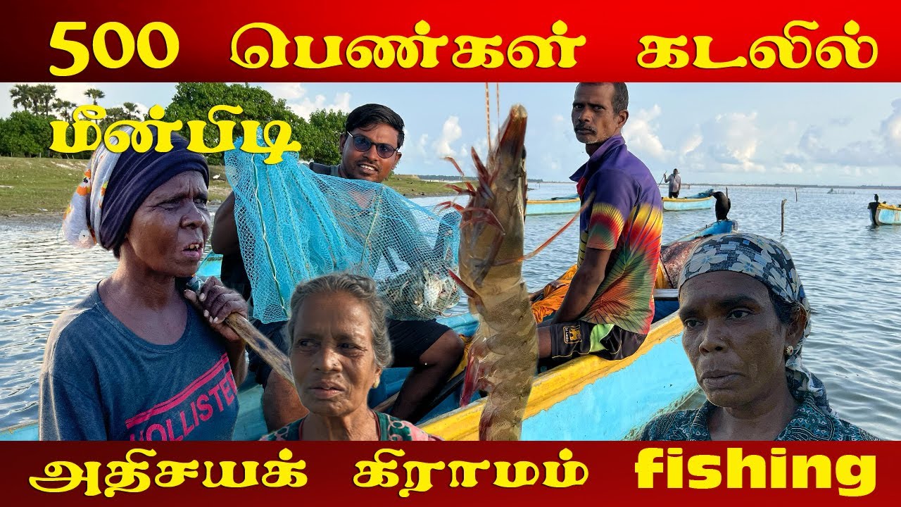 500 பெண்கள் கடலில் fishing video | Jaffna fishing | Valvai Sulax | காரைநகர் ஊரி