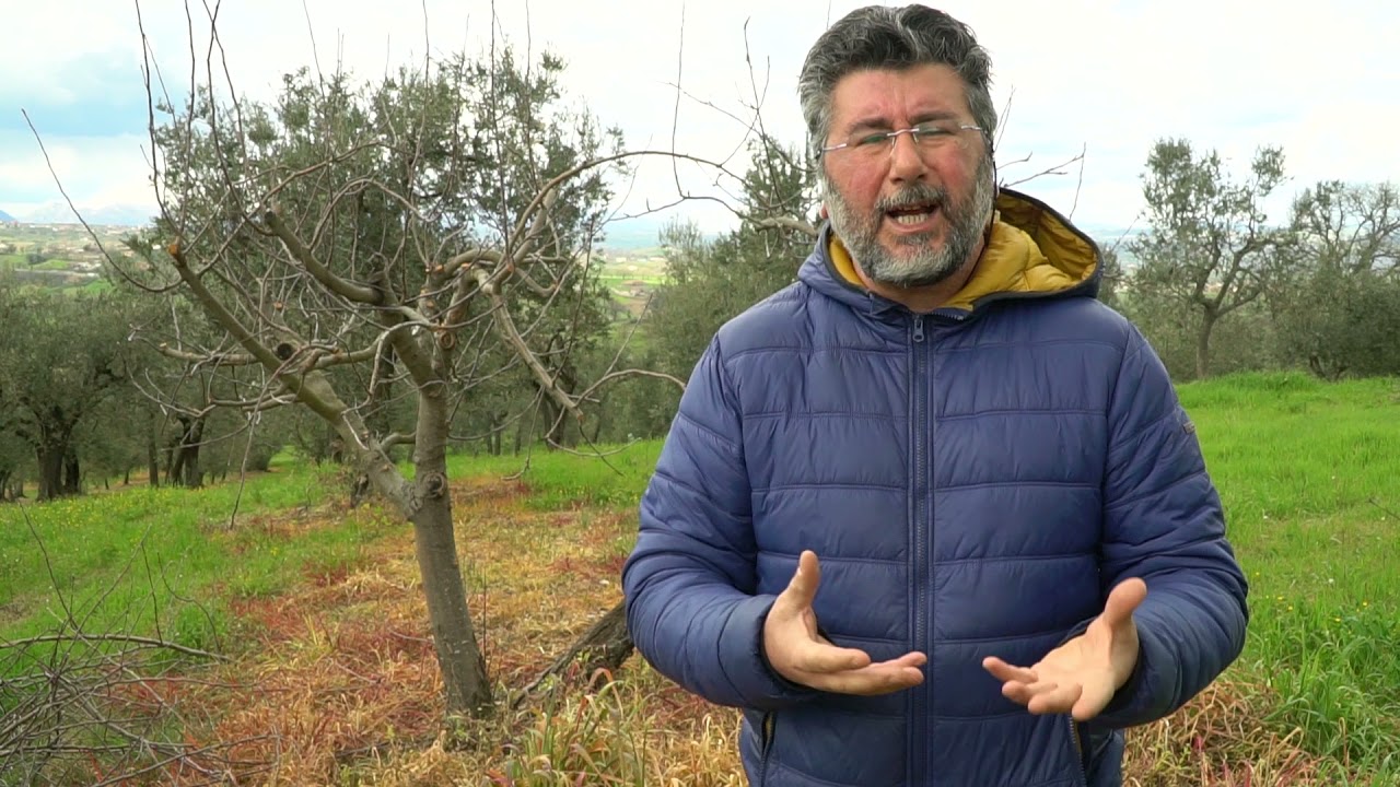 &laquo;Basta diserbanti: finiscono nell'acqua e in quello che mangiamo&raquo;