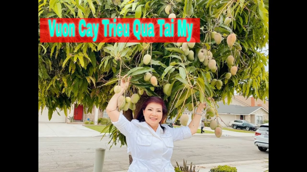 Vườn Trai Cây Việt Nam triệu Qua ở California.