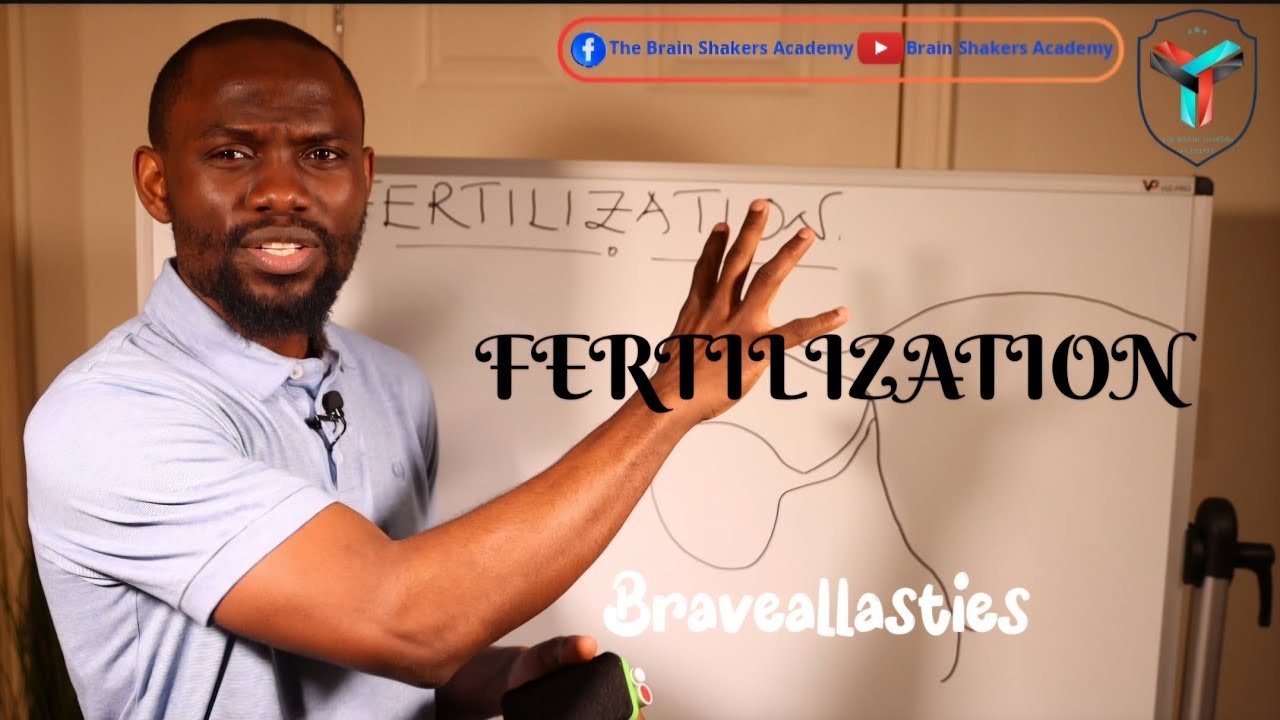 Как происходит БЕРЕМЕННОСТЬ...Процесс оплодотворения